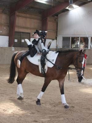 bild 041